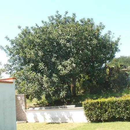 Rossella